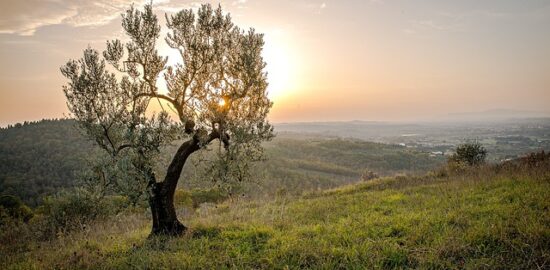 Návody pro nové hobby