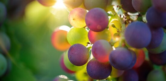 Jak vyrobit své vlastní dekorace pro domov