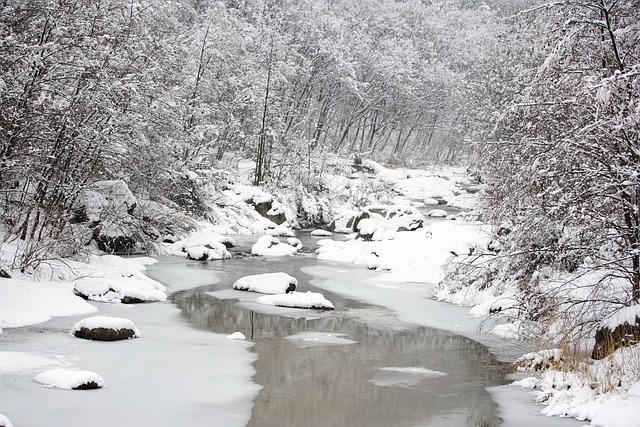 Nachlazení: Informace a rady