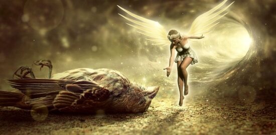 Transformace starého nábytku: kouzlo kutilství v praxi