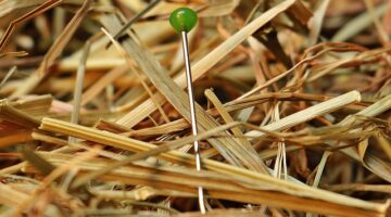 Jak najít ten pravý vztah: Průvodce pro moderního člověka