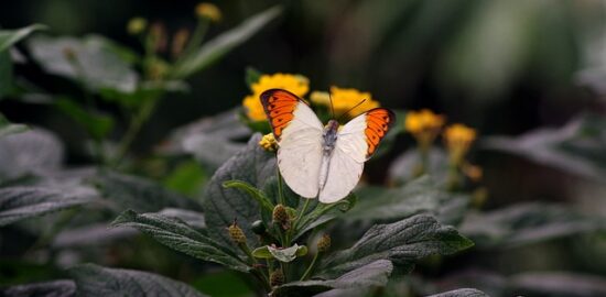 5 skvělých tipů, jak udělat kuchyň moderní