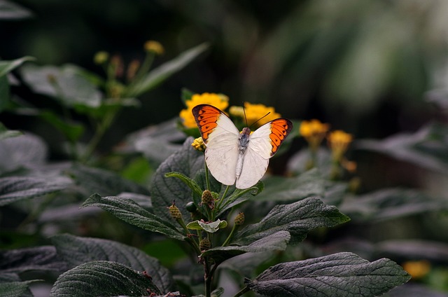 5 skvělých tipů, jak udělat kuchyň moderní