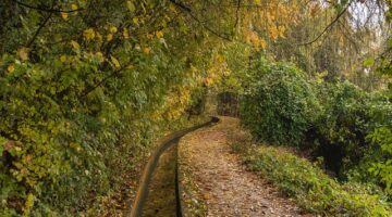 5 způsobů, jak posílit vztahy ve vztahu.