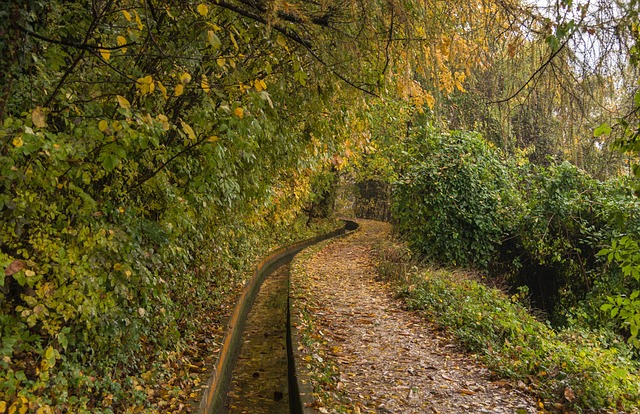 5 způsobů, jak posílit vztahy ve vztahu.