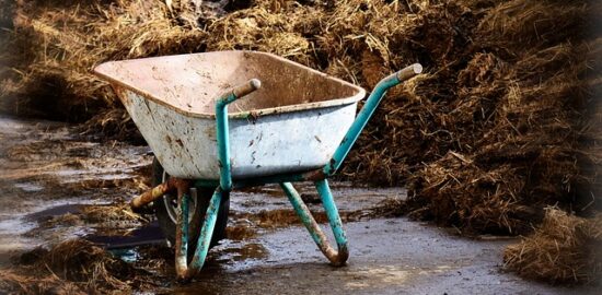Hnojivo pro zdravou a bohatou úrodu: rady a tipy