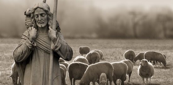 Jak se chránit před alergiemi