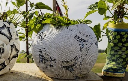 Tipy a triky pro úspěšné zahradničení