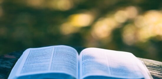 Hobby – nápady pro inspiraci