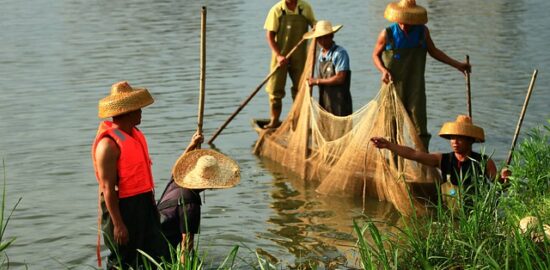 Rady a tipy na pěstování zeleniny