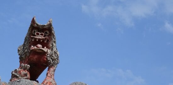 Jak se starat o stromy: Rady a tipy.