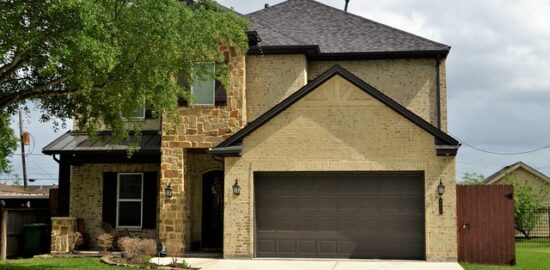 Jak se starat o stromy ve vaší zahradě