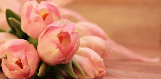 5 nejlepších knih pro začátečníky v novém hobby