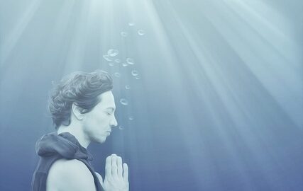 Základy péče o rostliny: Informative návod pro začátečníky