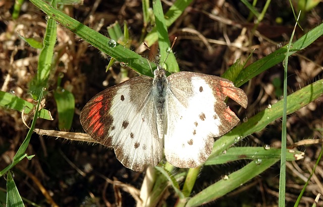 5 skvělých tipů pro bydlení v České republice