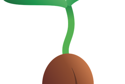 Hnojivo pro zdravější a úrodnější rostliny: inspirace a rady