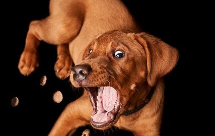 Jak léčit rýmu: Rady a tipy