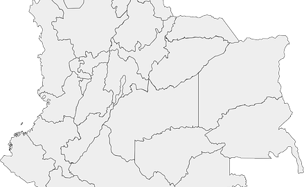 Jak správně pěstovat a ošetřovat orchideje doma