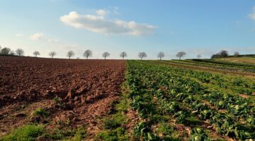 Jak vybrat správnou barvu stěn ve svém bytě