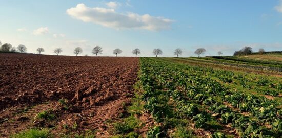 Jak vybrat správnou barvu stěn ve svém bytě