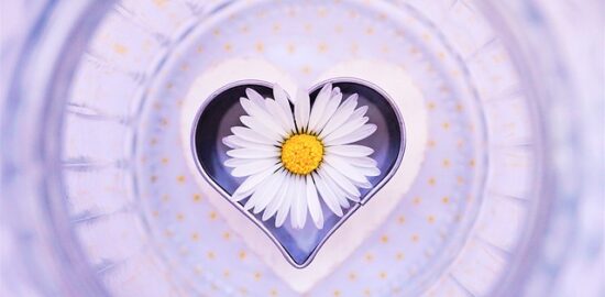 Jak vybrat zdravé potraviny?