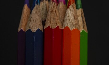 Základní tipy pro péči o květinu