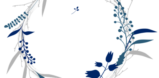 Nápady pro nové hobby