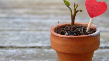 Jak udržovat zdravé vztahy ve češtině