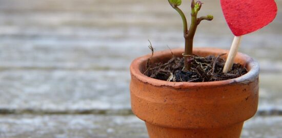 Jak udržovat zdravé vztahy ve češtině