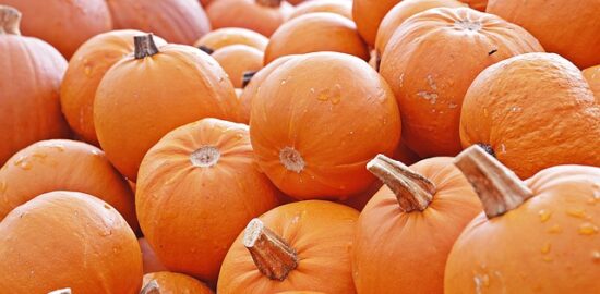 Tipy na výběr a skladování čerstvého ovoce