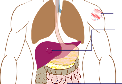 Příznaky a léčba alkoholismu