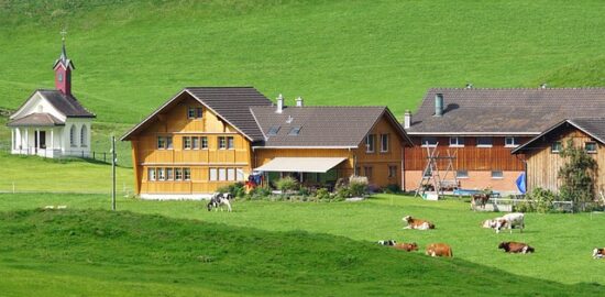 Jak se vyrovnat s nemocí