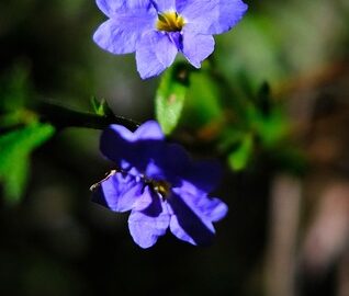Jak zvládnout denní cvičení a udržet si zdraví – článek