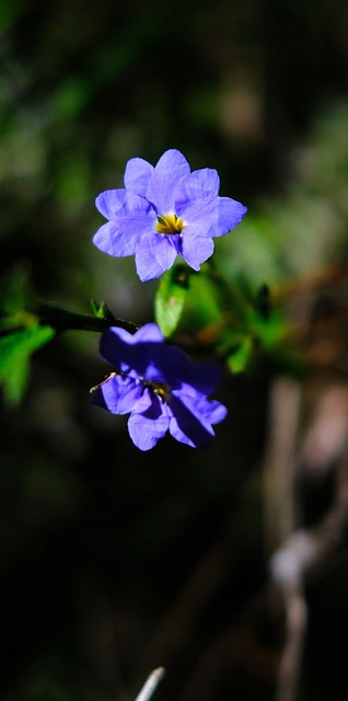 Jak zvládnout denní cvičení a udržet si zdraví – článek