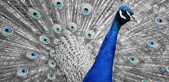 Recenze nejnovějšího módního trendy v oblasti hobby