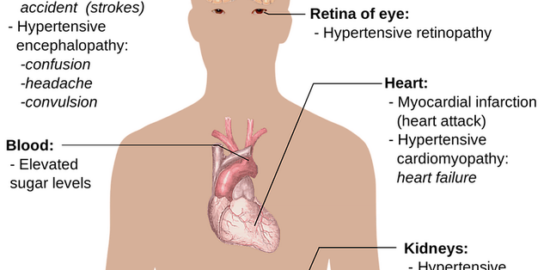 Přehled léků na trhu: informace, účinky a možnosti.
