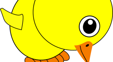 Jak vybrat nejlepší spotřebiče pro vaši domácnost