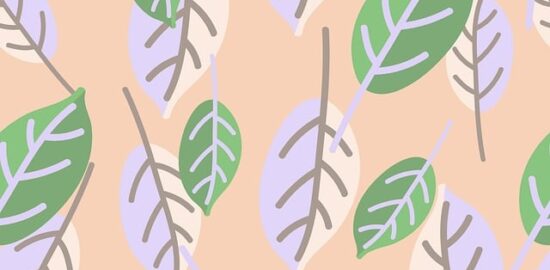 Moderní trendy a praktické prvky v českých kuchyních