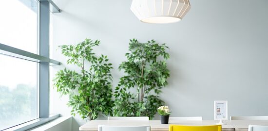 Jednoduché a chutné recepty s ovocem