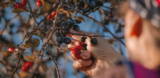 Jak vybrat ten pravý dům pro vaši rodinu