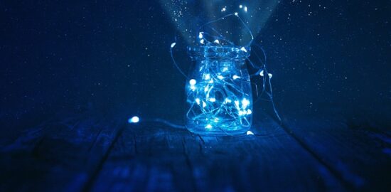 Skleník – průvodce pro začátečníky