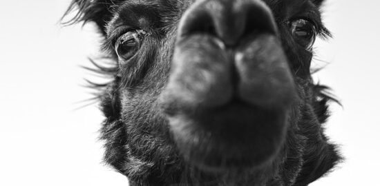 5 rad, jak si upevnit vztahy ve svém životě