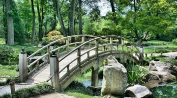 Jak vytvářet lepší vztahy ve češtině: inspirace pro zlepšení komunikace