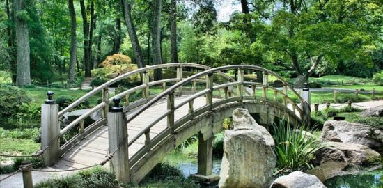 Jak vytvářet lepší vztahy ve češtině: inspirace pro zlepšení komunikace