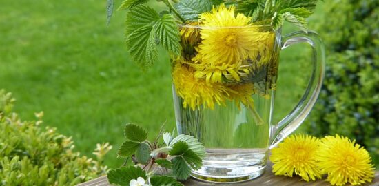 Hnojivo pro zdravý růst a úrodnou půdu