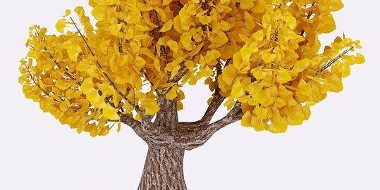 Ponořte se do světa pěstování bonsají: základy a techniky