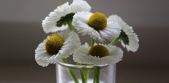 Jak vybrat správné léky?