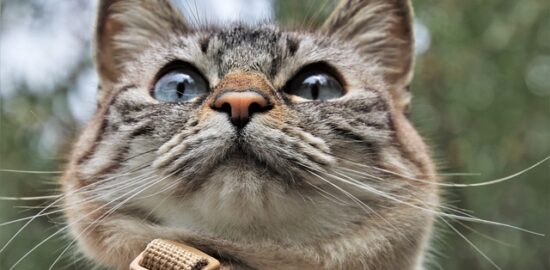 Stylingové tipy pro příjemné a zábavné hobby