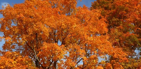 Jak si vybrat správnou barvu pro byt: inspirace pro vaše domovní prostředí