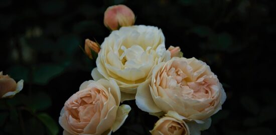 Jak zlepšit vztahy? 10 tipů pro harmonický a šťastný partnerský život